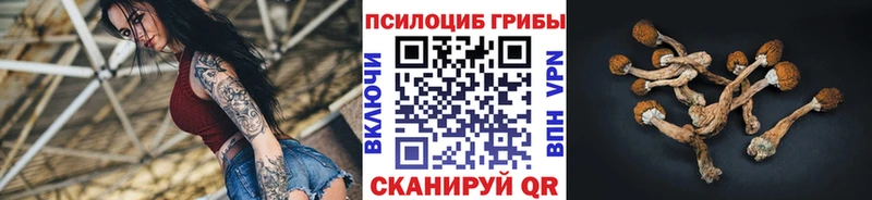 мориарти Telegram Заозёрск Псилоцибиновые грибы мицелий