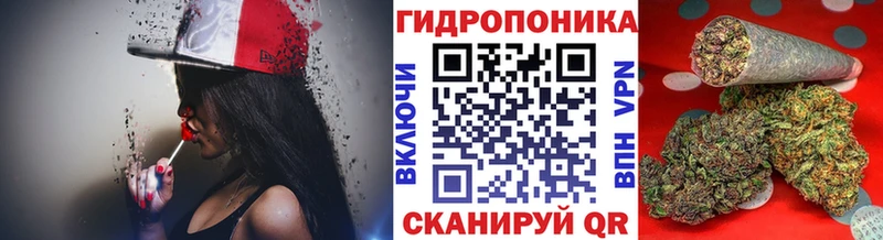 как найти закладки  Заозёрск  Каннабис OG Kush 